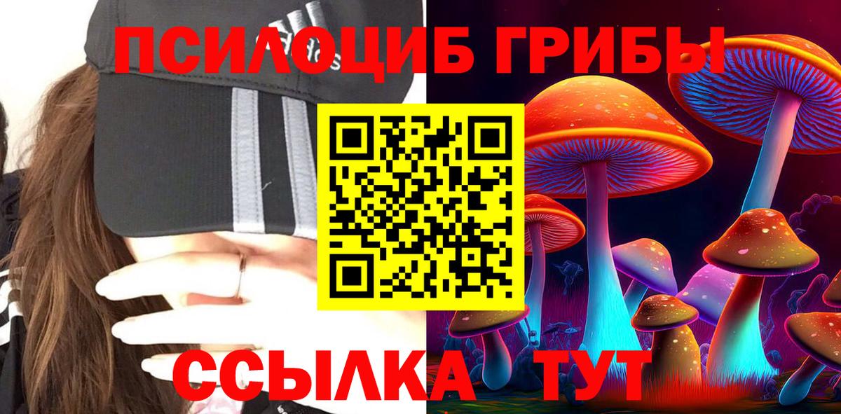 Галлюциногенные грибы GOLDEN TEACHER Сафоново